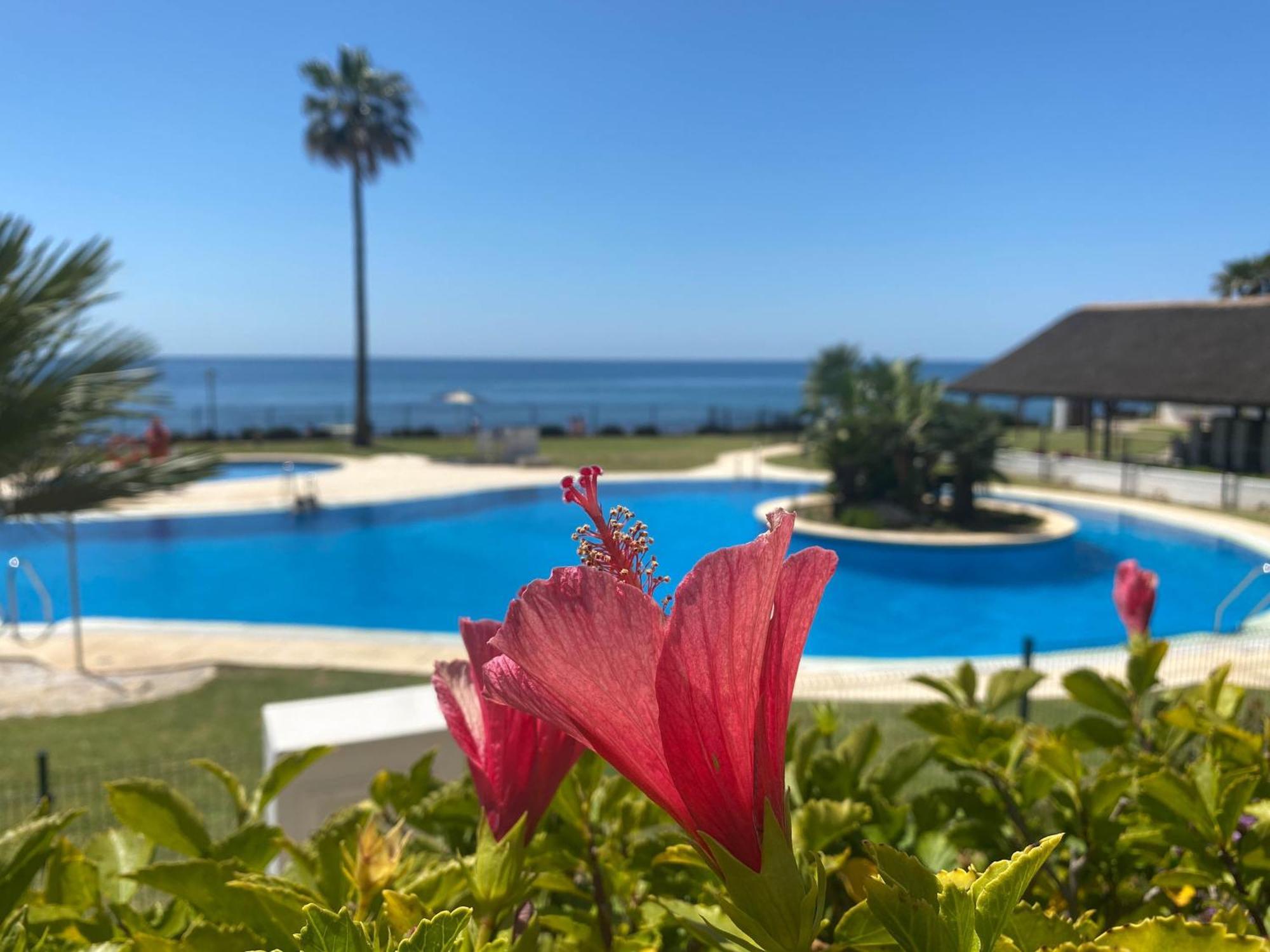 Frontline Beach Ground Floor With Privet Garden, Mi Capricho 16 Mijas Dış mekan fotoğraf